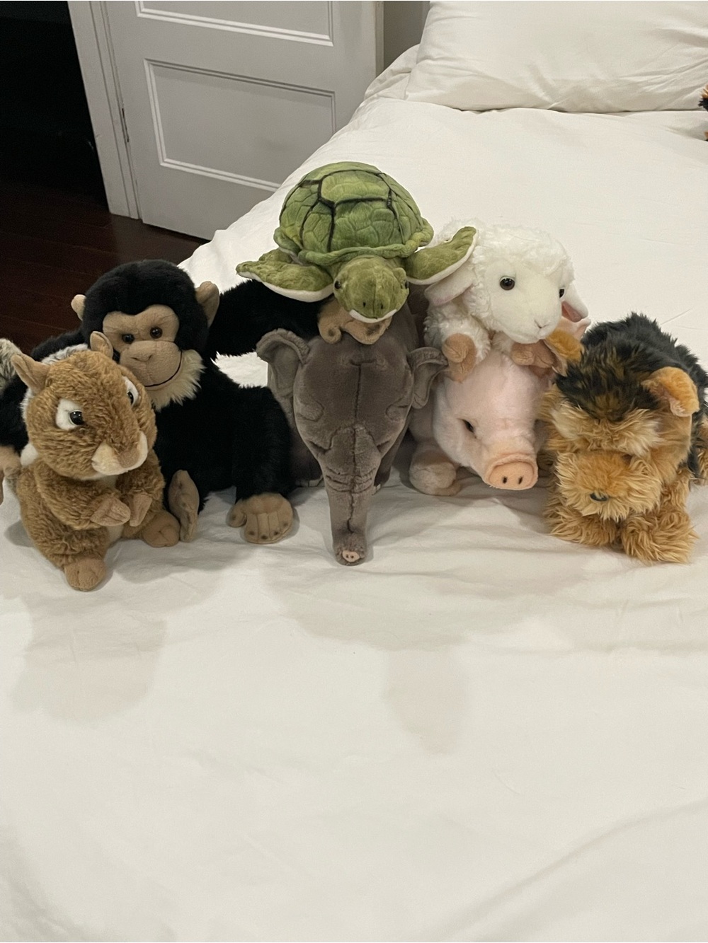 Webkinz Signature Lot